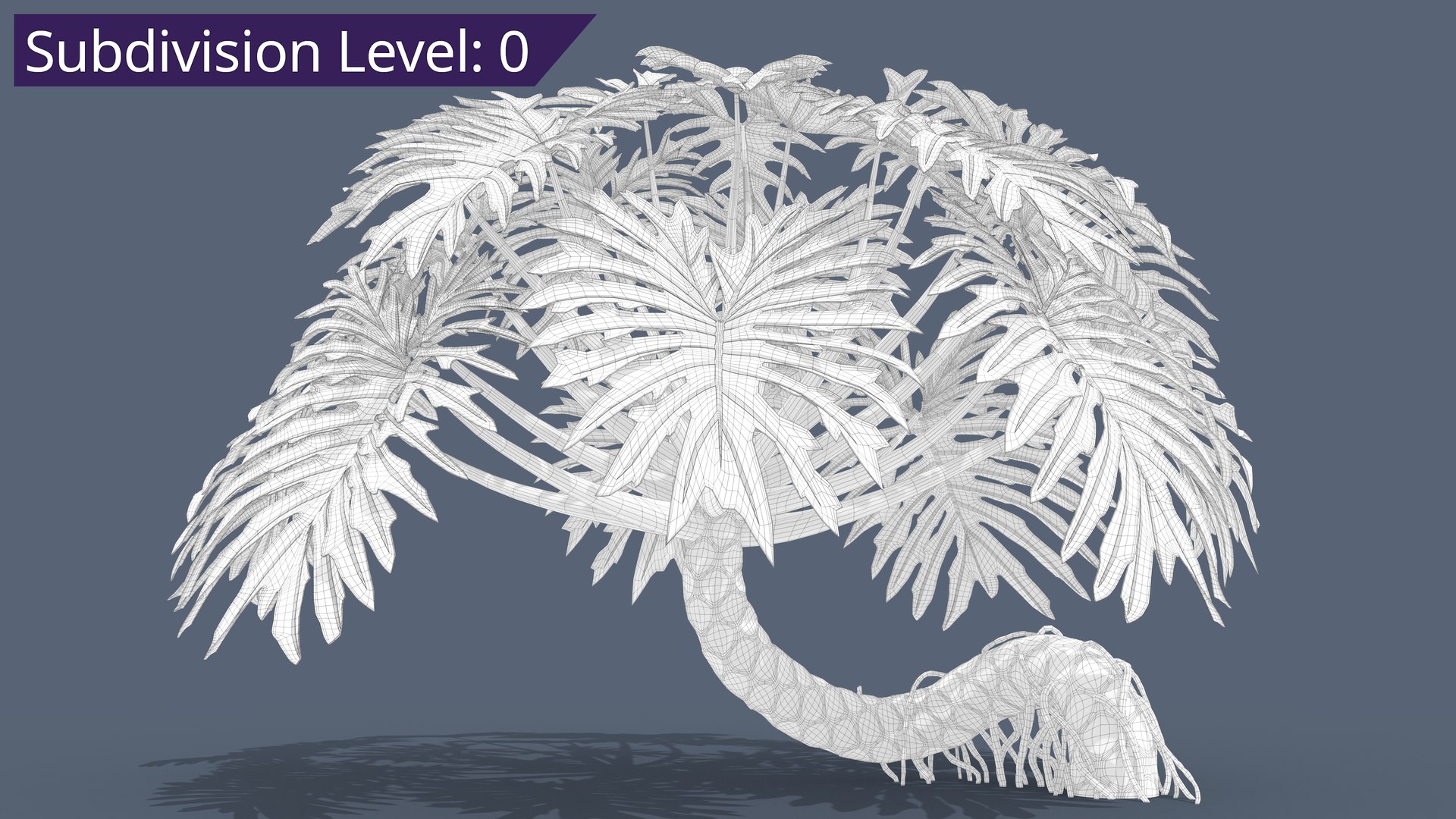 Philodendron Selloanum 3D model https://p.turbosquid.com/ts-thumb/pz/4TZRFw/mH/philodendron_selloanum_401_subd/png/1682318328/1920x1080/fit_q87/419a4d438f27eb9fc84a9ec828a509404403f4ed/philodendron_selloanum_401_subd.jpg