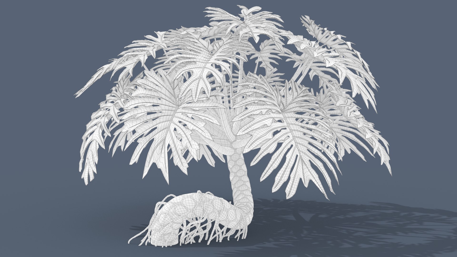 Philodendron Selloanum 3D model https://p.turbosquid.com/ts-thumb/pz/4TZRFw/oz/philodendron_selloanum_113_wireframe/png/1682318932/1920x1080/fit_q87/1f43fddb2ca8e734ce48bdca1eda73284c4fd933/philodendron_selloanum_113_wireframe.jpg