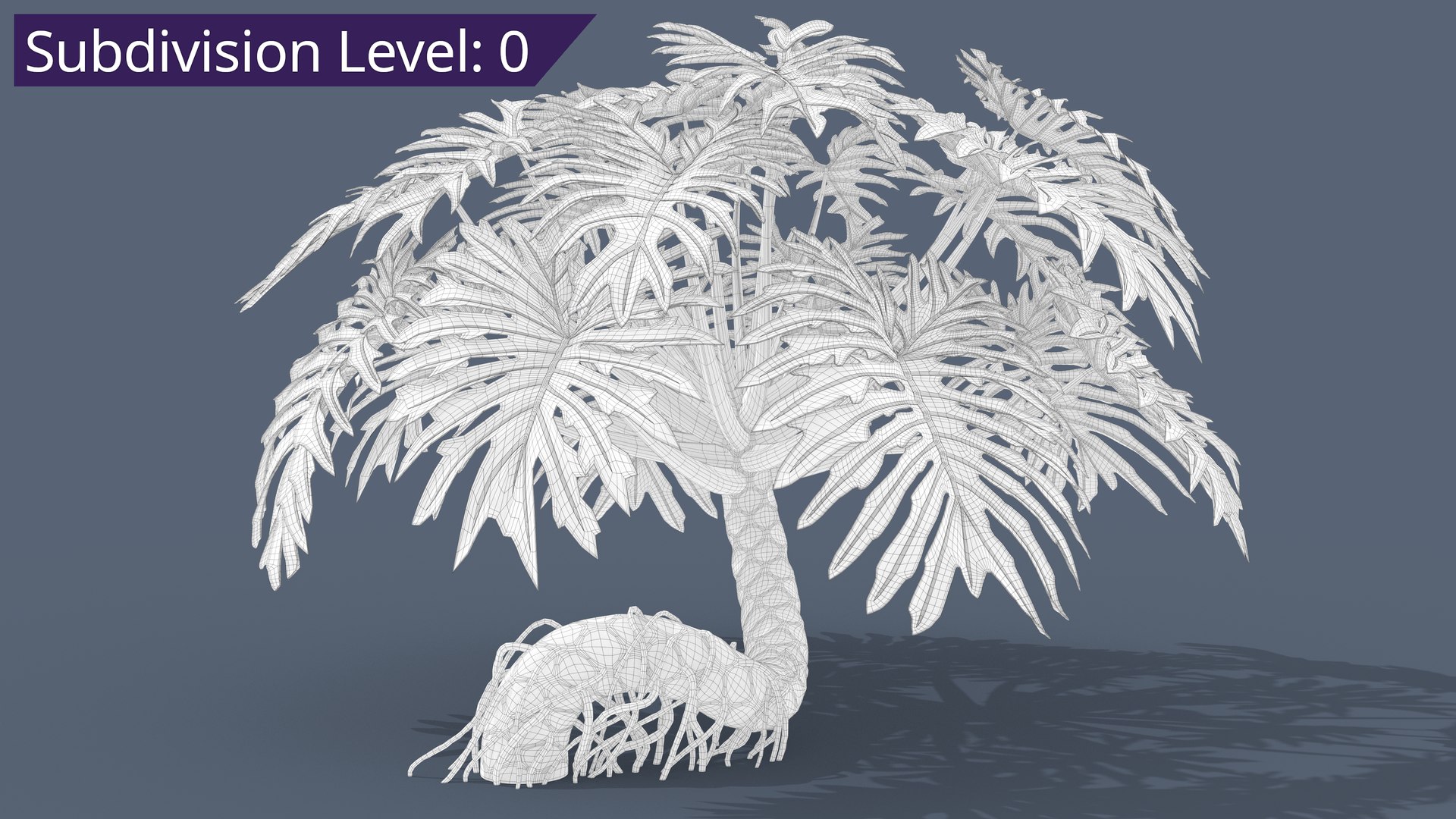 Philodendron Selloanum 3D model https://p.turbosquid.com/ts-thumb/pz/4TZRFw/t3/philodendron_selloanum_411_subd/png/1682320573/1920x1080/fit_q87/c28b9ccc1ea3cd6562be472d53e8557844c1a712/philodendron_selloanum_411_subd.jpg