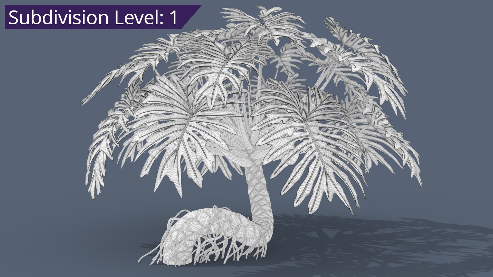 Philodendron Selloanum 3D model https://p.turbosquid.com/ts-thumb/pz/4TZRFw/yK/philodendron_selloanum_412_subd/png/1682320577/1920x1080/fit_q87/728d790ba4cf99f1be8194920b2eb5a85cf89b98/philodendron_selloanum_412_subd.jpg