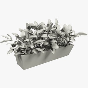 3D stylized flower pot