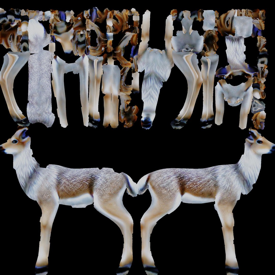3D Model Deer With White Fur Low Poly - TurboSquid 2208014