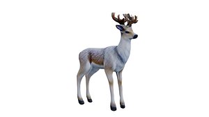 3D model Deer with white fur low poly