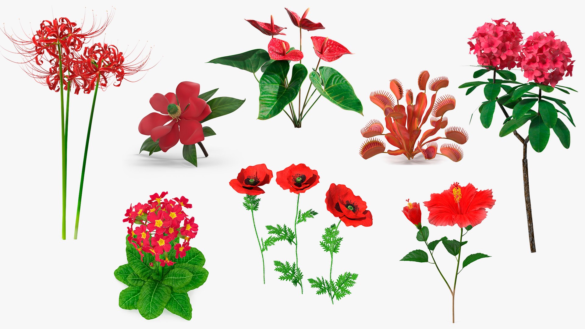 3D model Red Flowering Plants Collection 6 https://p.turbosquid.com/ts-thumb/pz/86RAqt/z0/red_flowering_plants_collection_6_001/jpg/1775117793/1920x1080/fit_q87/e1739511f24eaccc6159c102e6079a088f36c111/red_flowering_plants_collection_6_001.jpg