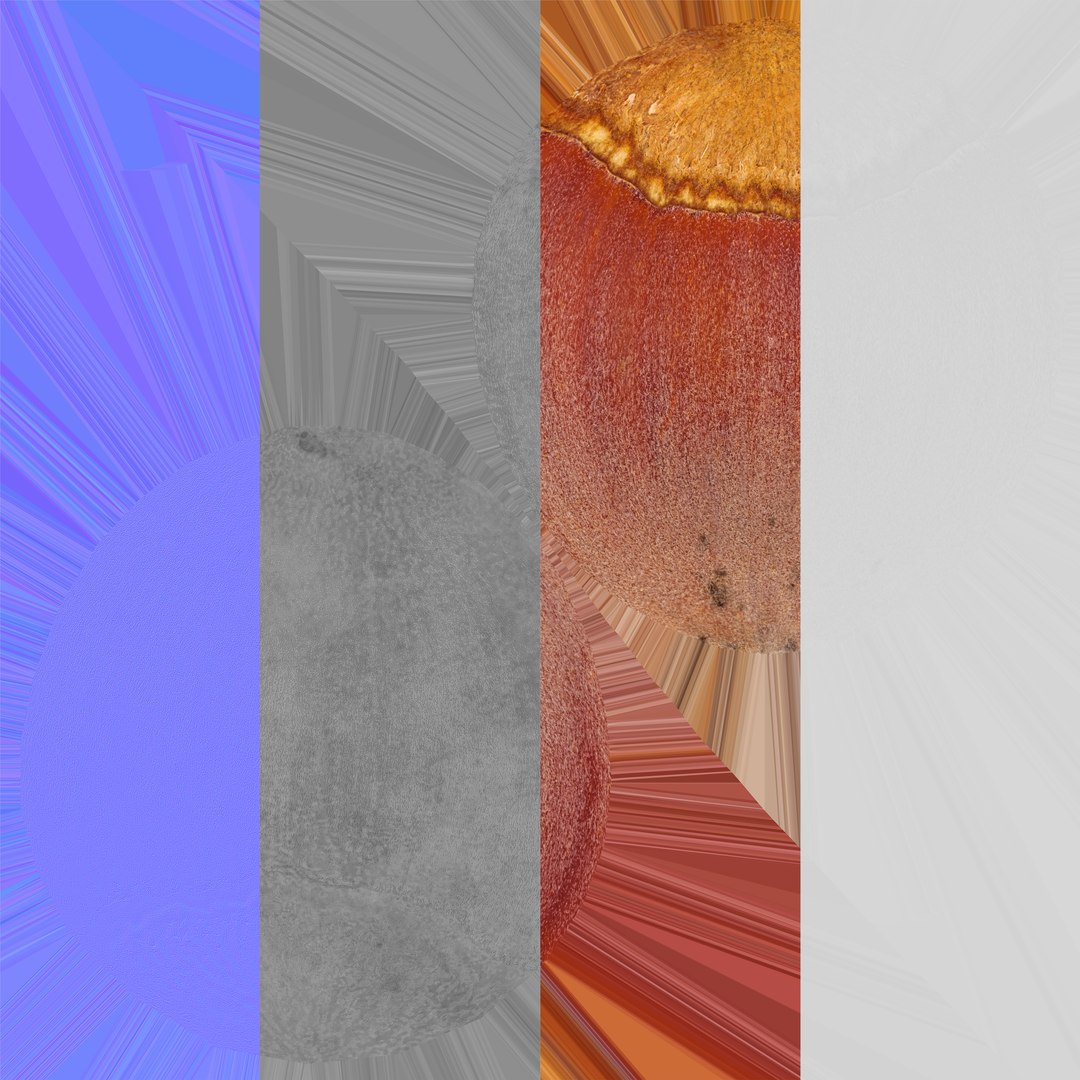 Hazelnut 01 3D model https://p.turbosquid.com/ts-thumb/pz/CKL2NT/GT/hazelnut_01_textures/jpg/1648654269/1920x1080/fit_q87/f994538ca1c5c810b30b5f4d6df979256c025ce9/hazelnut_01_textures.jpg