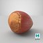 Hazelnut 01