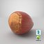 Hazelnut 01
