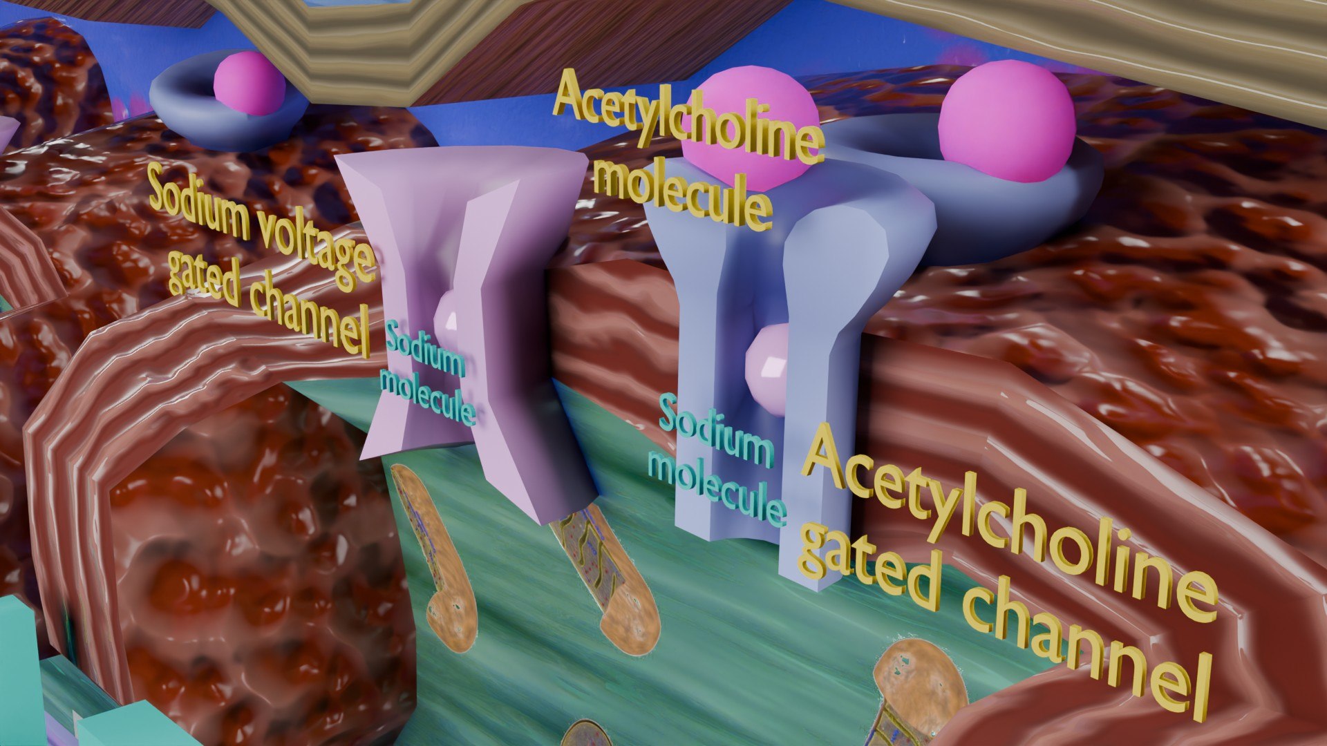 Neuro Muscular Junction Schematic 3D model https://p.turbosquid.com/ts-thumb/pz/Gq4IMW/9o/aa0025/jpg/1735908764/1920x1080/fit_q87/f8d19d3442f34b7384db698dac283036a2a55953/aa0025.jpg