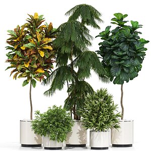 Plants collection 602 3D model