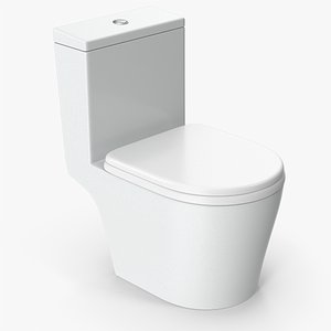 Toilet model