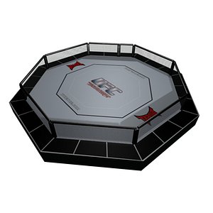 UFC Octagon
