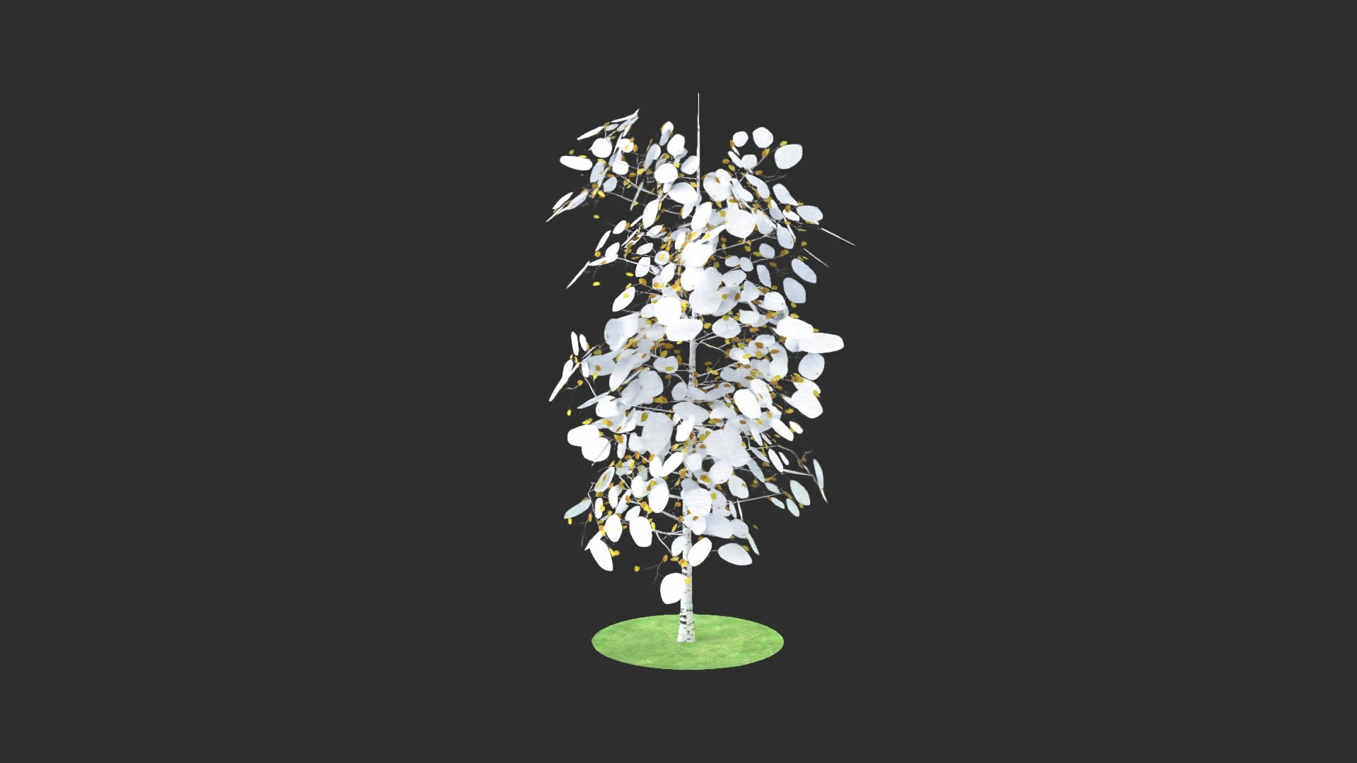 3D Pyrus Winter Model - TurboSquid 1626023