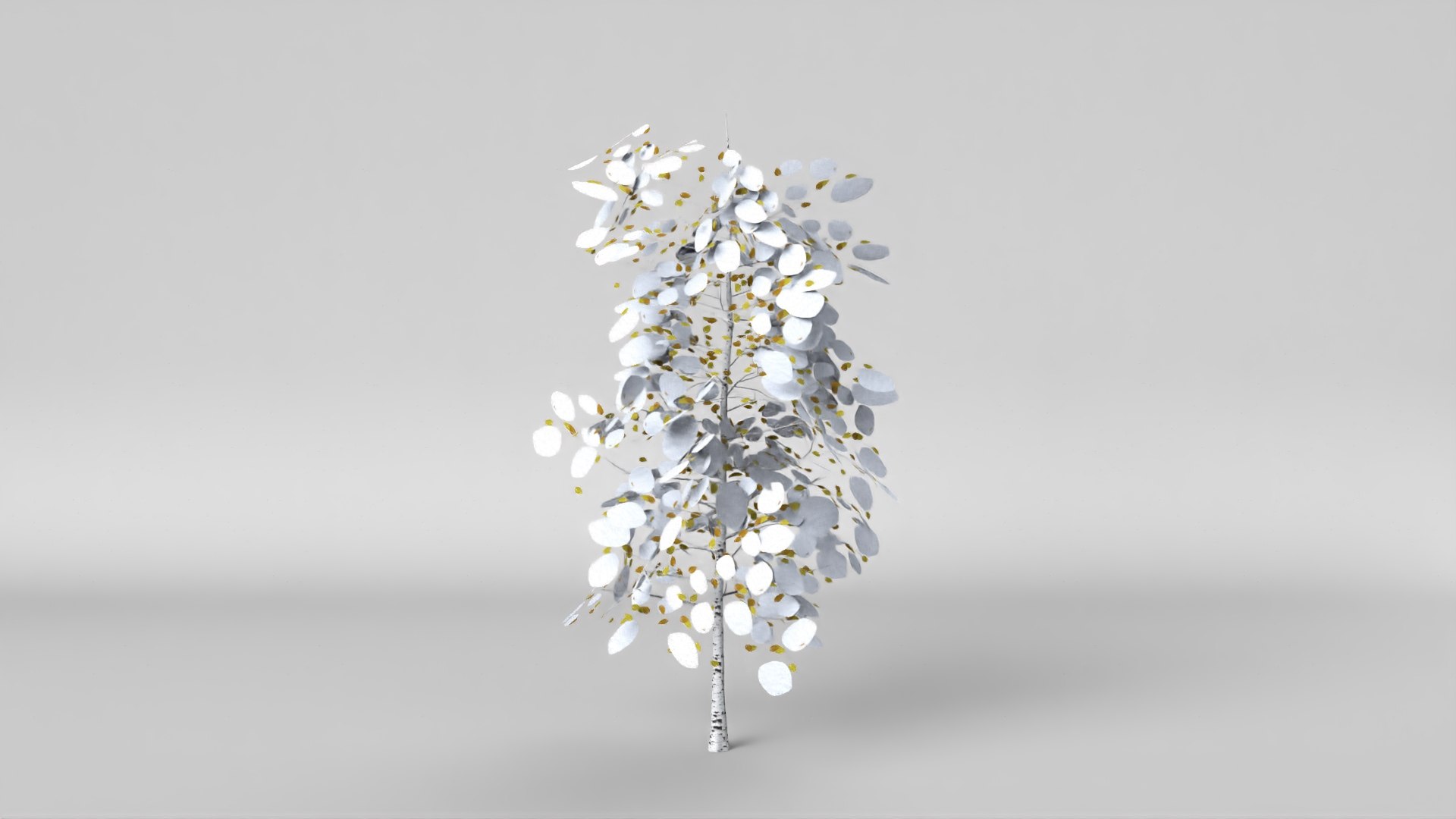 3D Pyrus Winter Model - TurboSquid 1626023