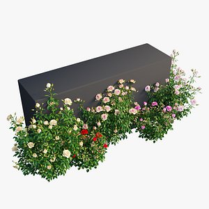 3D plant rose set model
