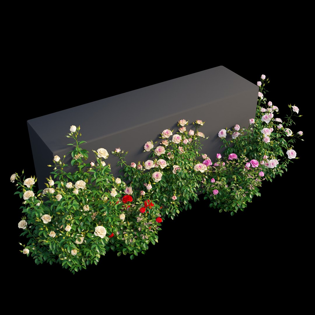 3D plant rose set model https://p.turbosquid.com/ts-thumb/pz/pfjI6d/G1xYLOIz/view7/jpg/1587284317/1920x1080/fit_q87/5952af4547afb2200043feb44216be1c8650892e/view7.jpg