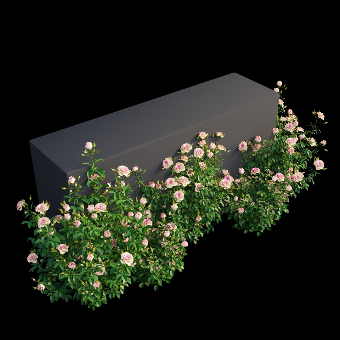 3D plant rose set model https://p.turbosquid.com/ts-thumb/pz/pfjI6d/Mm1JlLKU/view10/jpg/1587284317/1920x1080/fit_q87/e4b46ecf0600790832f218ba108804021b27a1dd/view10.jpg