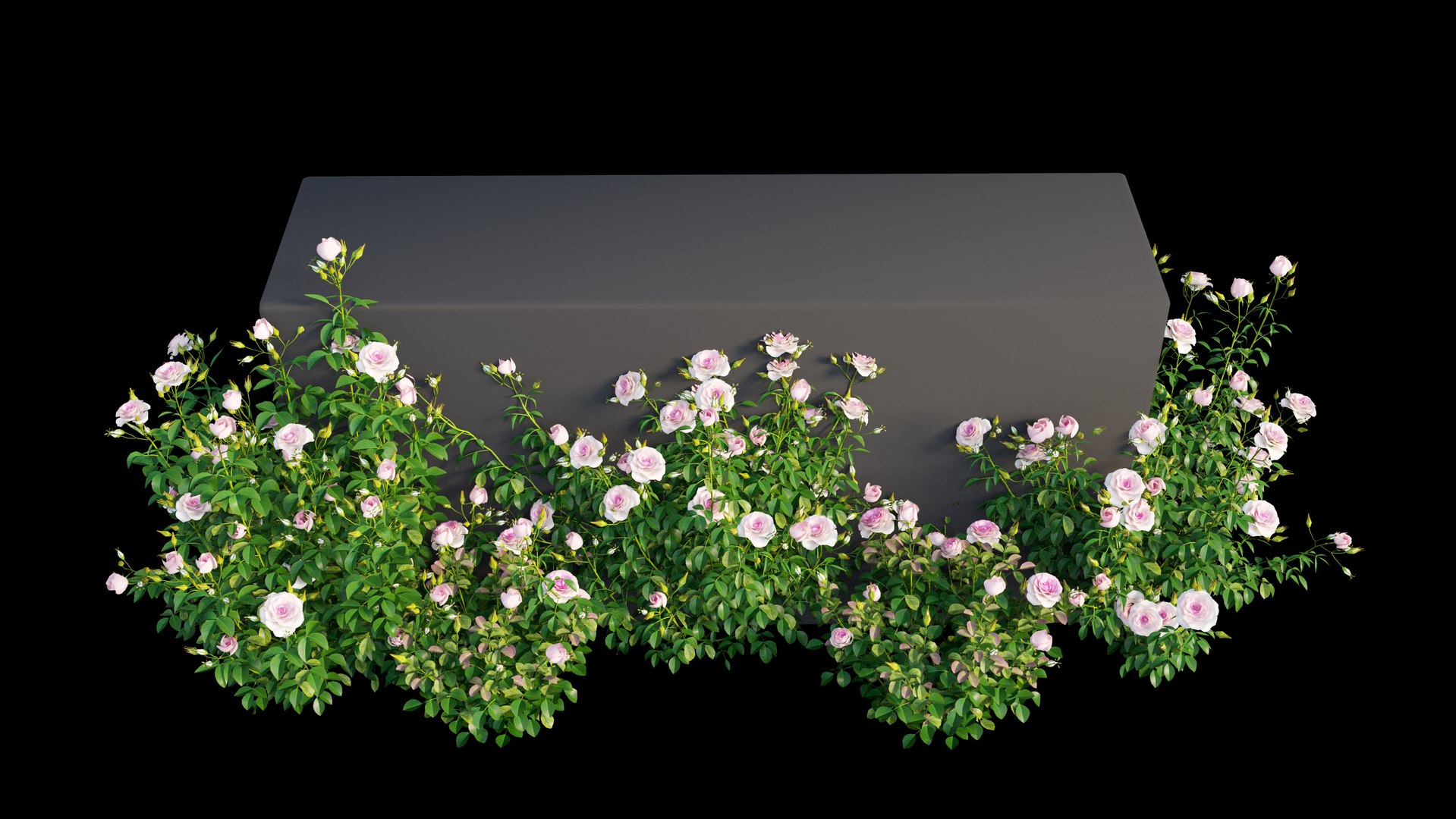 3D plant rose set model https://p.turbosquid.com/ts-thumb/pz/pfjI6d/NTOooGvC/view6/jpg/1587284317/1920x1080/fit_q87/073df92de5cd154f33a6ca957452d15ad9fc6388/view6.jpg