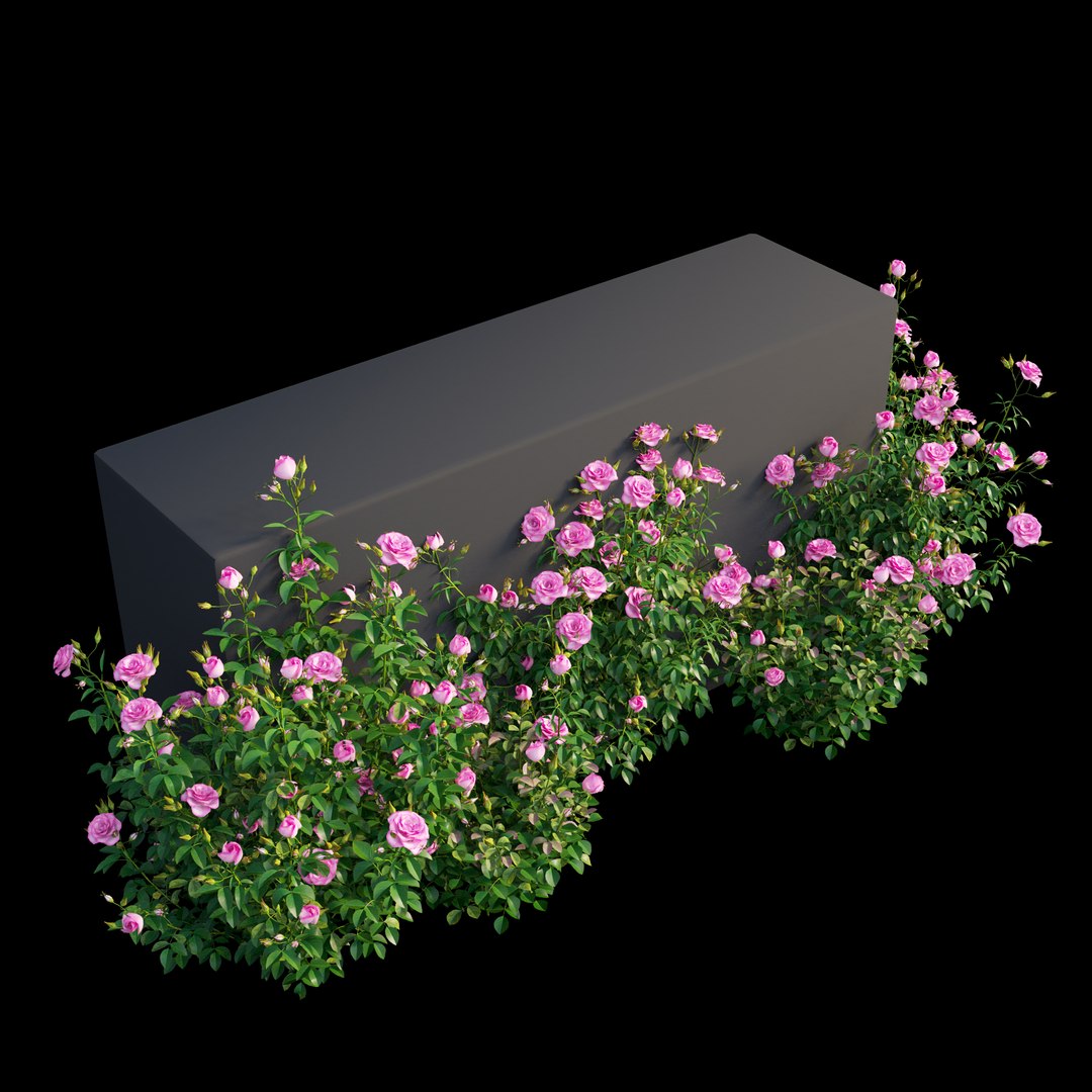 3D plant rose set model https://p.turbosquid.com/ts-thumb/pz/pfjI6d/WUUVAfep/view11/jpg/1587284317/1920x1080/fit_q87/b237e0d27f5edddc02748dc994c18d4828483dff/view11.jpg