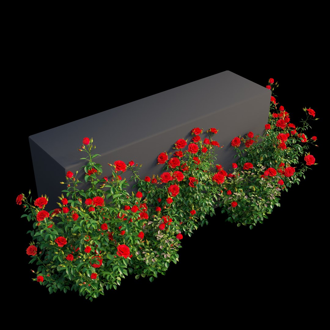 3D plant rose set model https://p.turbosquid.com/ts-thumb/pz/pfjI6d/tHyr3wxB/view9/jpg/1587284317/1920x1080/fit_q87/7ecd40e6a75258400a35bdd3006eb2d53a293d0c/view9.jpg