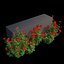 Rose plant set 11