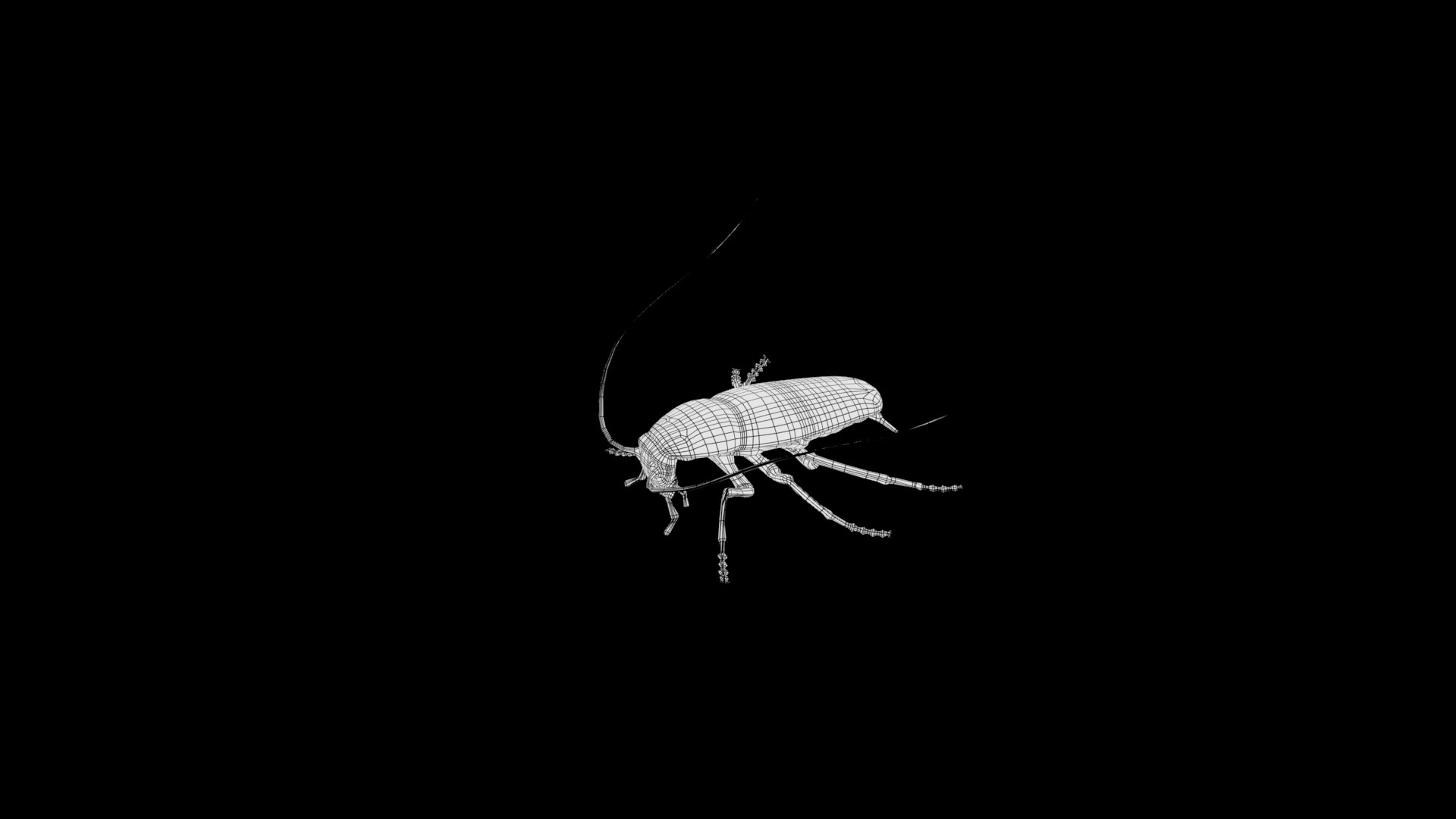 Cockroach Rigged 3D Model - TurboSquid 1590617