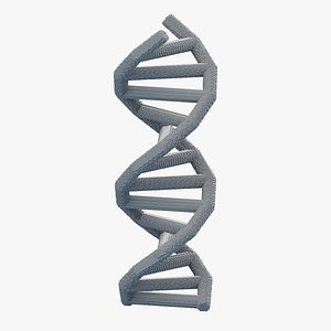 DNA Voxel