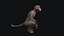 macaco animado