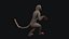 macaco animado