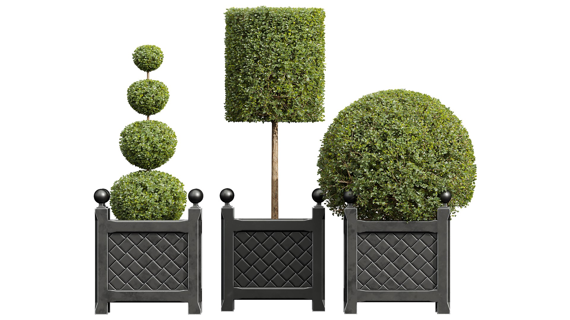 9Different SETS Of Plant Bush Set Vol 30 3D Model - TurboSquid 2205099