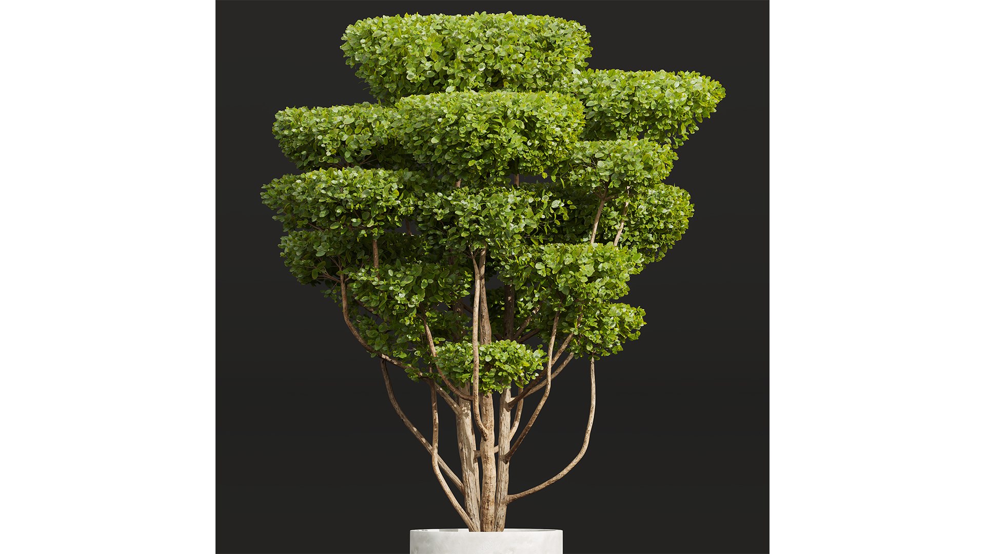 9Different SETS Of Plant Bush Set Vol 30 3D Model - TurboSquid 2205099