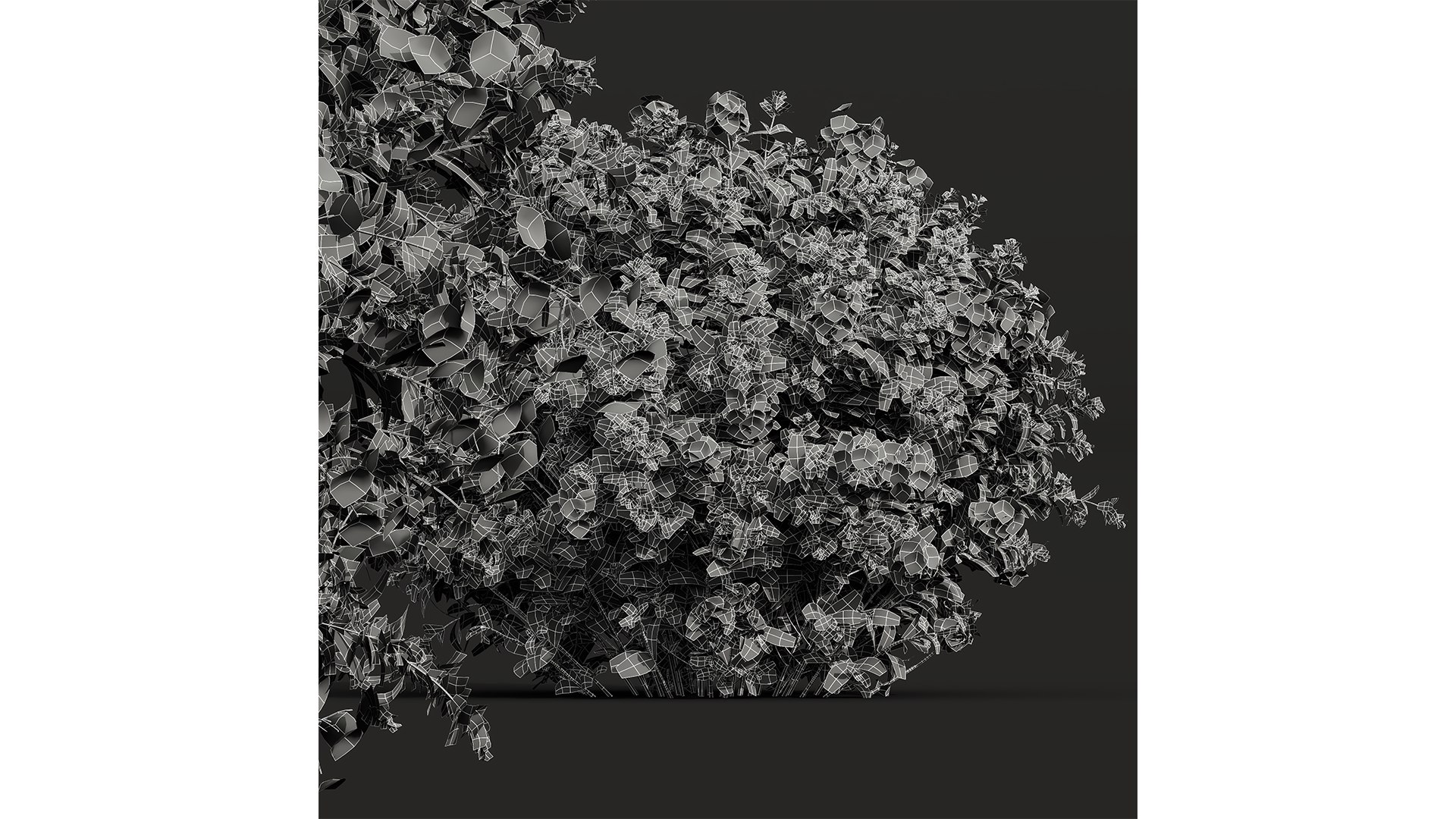 9Different SETS Of Plant Bush Set Vol 30 3D Model - TurboSquid 2205099