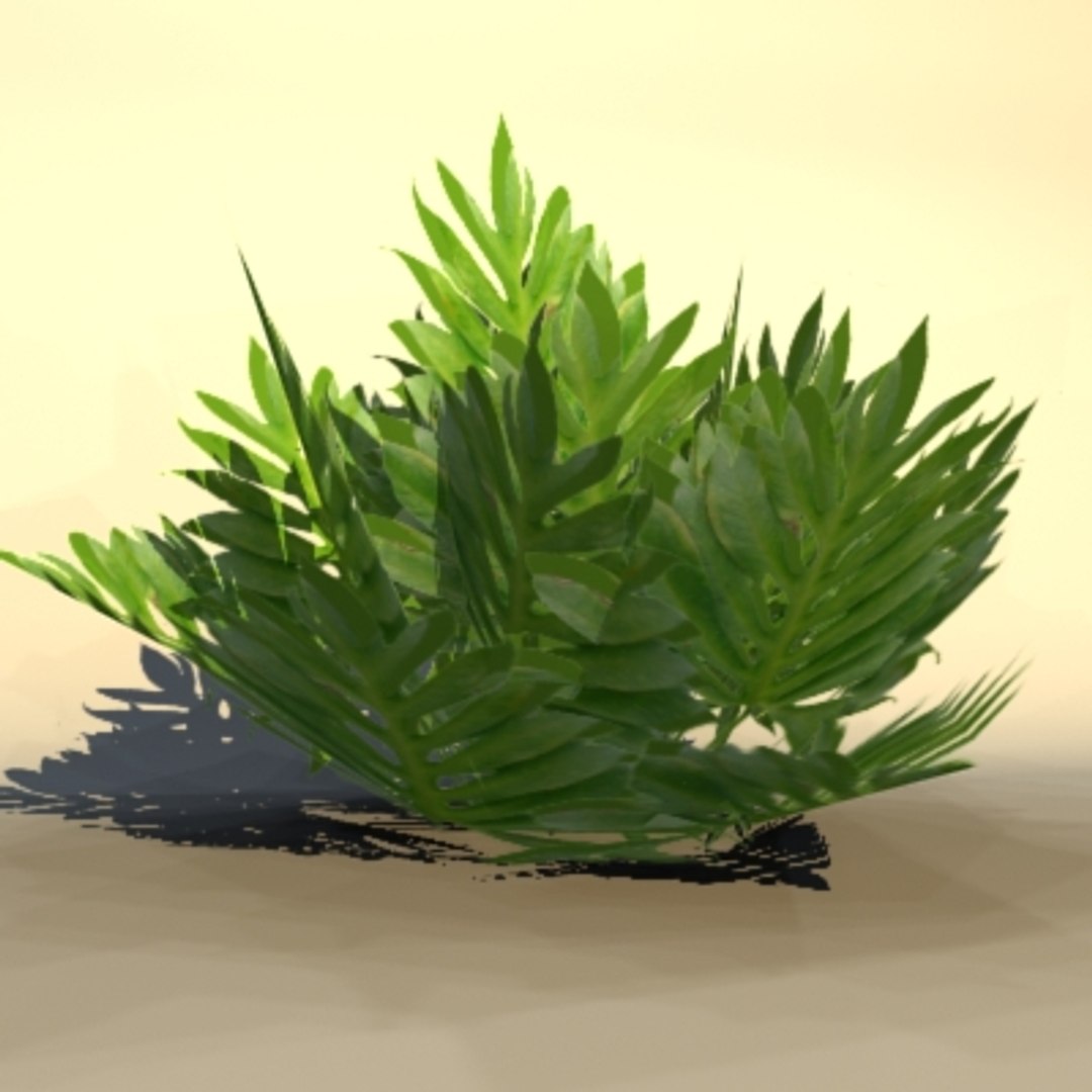 Pc Ps2 3d Model