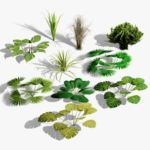 Low-Poly Tropical Plant Collection 3D