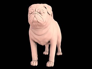 3d model realistic dogs pug