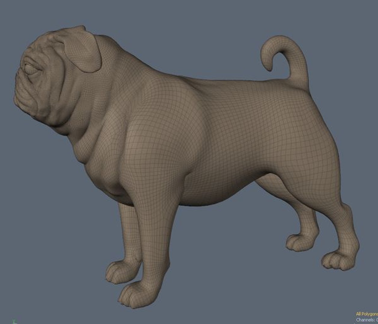 3d Model Realistic Dogs Pug