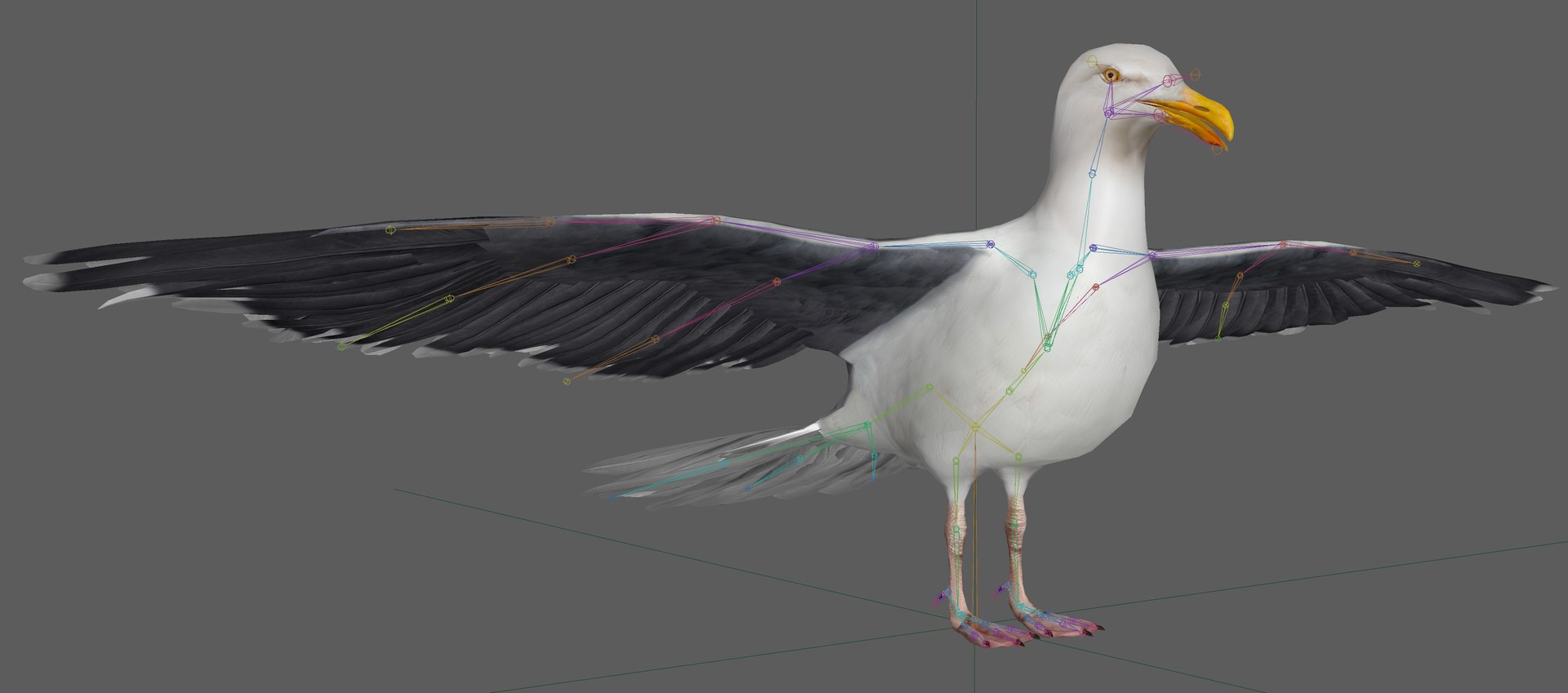 Seagull Bird Rig 3D - TurboSquid 2051989
