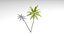 Coconut palm tree - mild 3D model