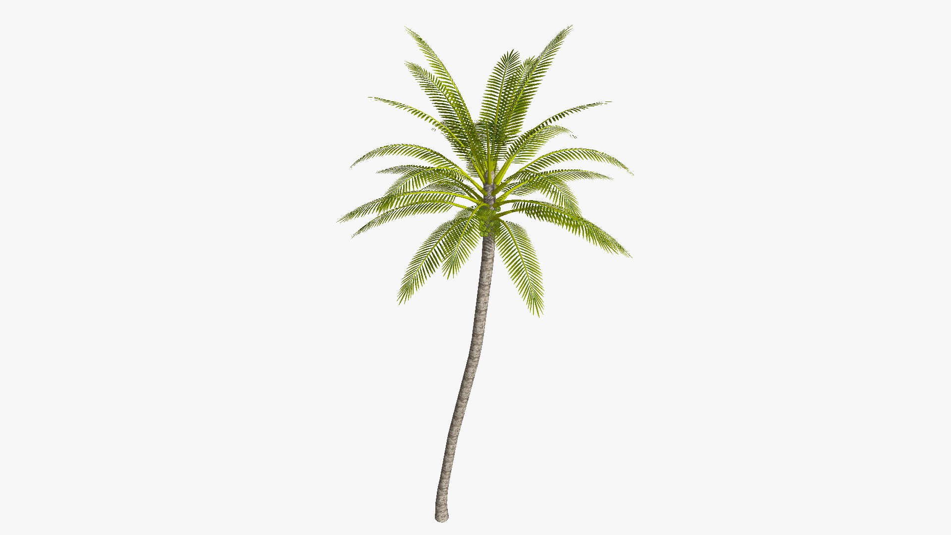 Coconut palm tree - mild 3D model https://p.turbosquid.com/ts-thumb/q0/LVF6vZ/tB/coconutpalmmild_01/png/1651225819/1920x1080/fit_q87/9827047658957b3154187edb5b51b7996af2e8d8/coconutpalmmild_01.jpg