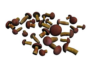 3D mushroom model