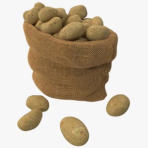 3d model sack potatoes