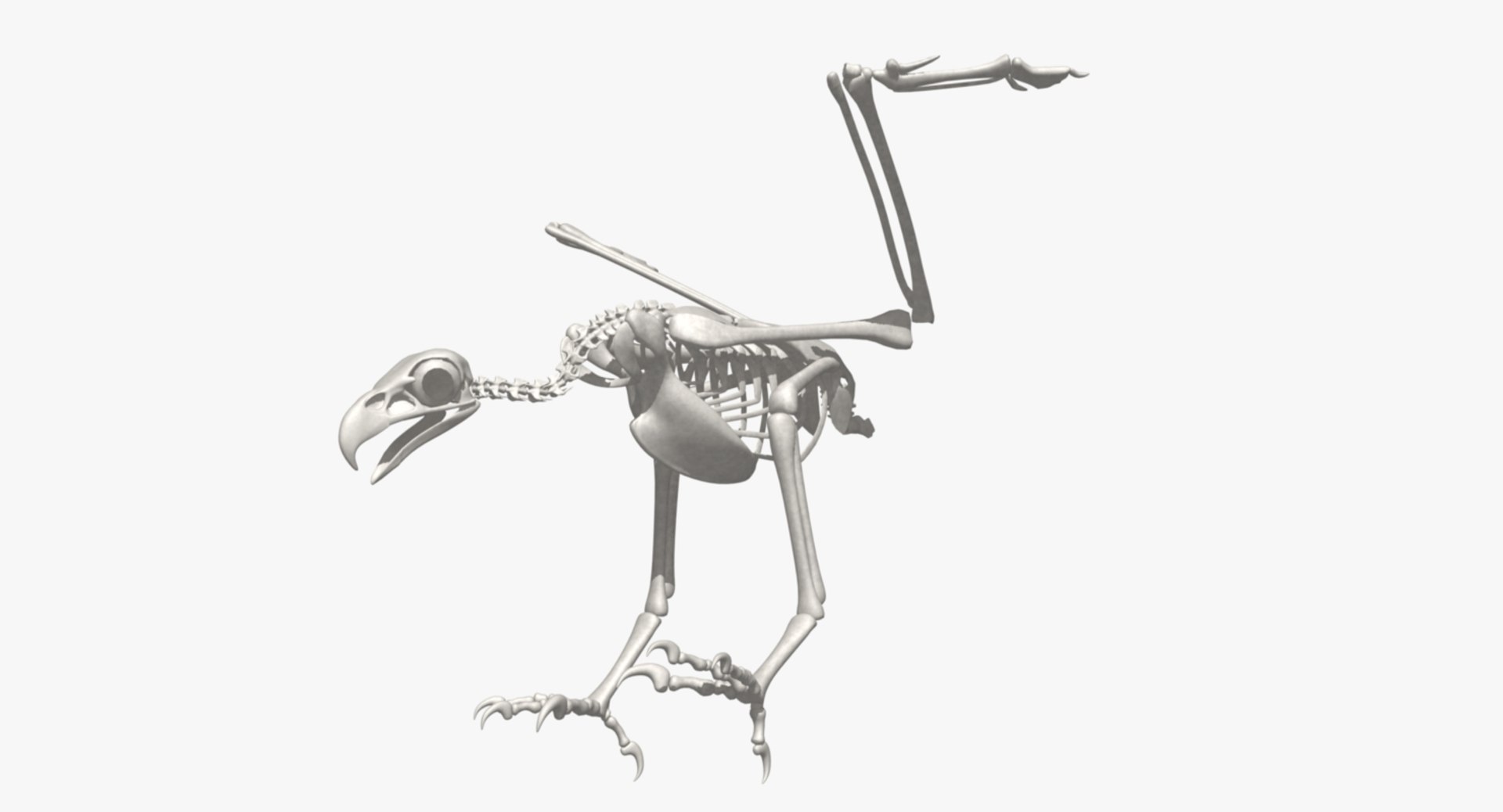 3d model golden eagle https://p.turbosquid.com/ts-thumb/q0/YFWBl8/6syPyyHH/rs07/jpg/1483422916/1920x1080/fit_q87/746992edf1753874d9f0fd7b3f3bad37a948021b/rs07.jpg