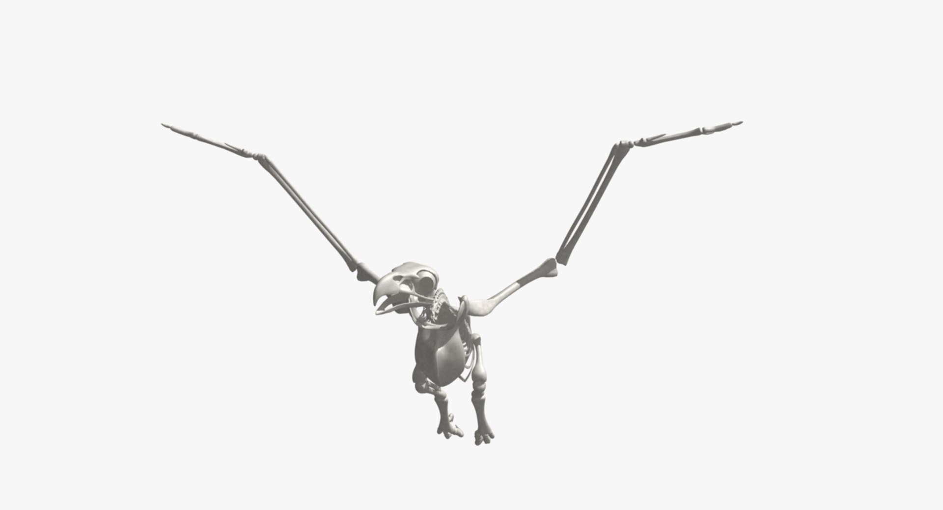 3d model golden eagle https://p.turbosquid.com/ts-thumb/q0/YFWBl8/9dMt1TJv/rs03/jpg/1483422916/1920x1080/fit_q87/9de4895e057a0b17a8d76167858cbe940ca9176d/rs03.jpg