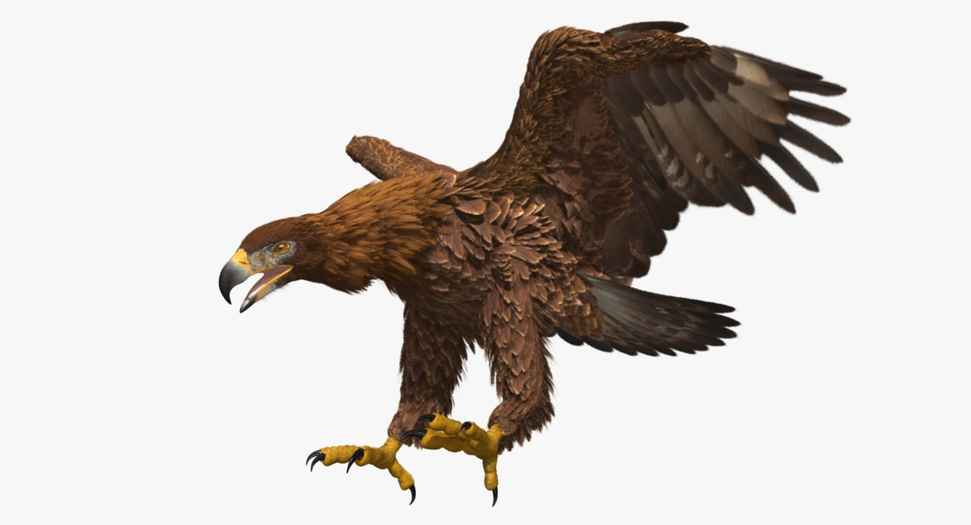 3d model golden eagle https://p.turbosquid.com/ts-thumb/q0/YFWBl8/OckEPigw/rp07/jpg/1483415442/1920x1080/fit_q87/d00f3f3ebae26dd363caa418adb66ef76ff1ada5/rp07.jpg