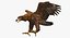 Golden Eagle