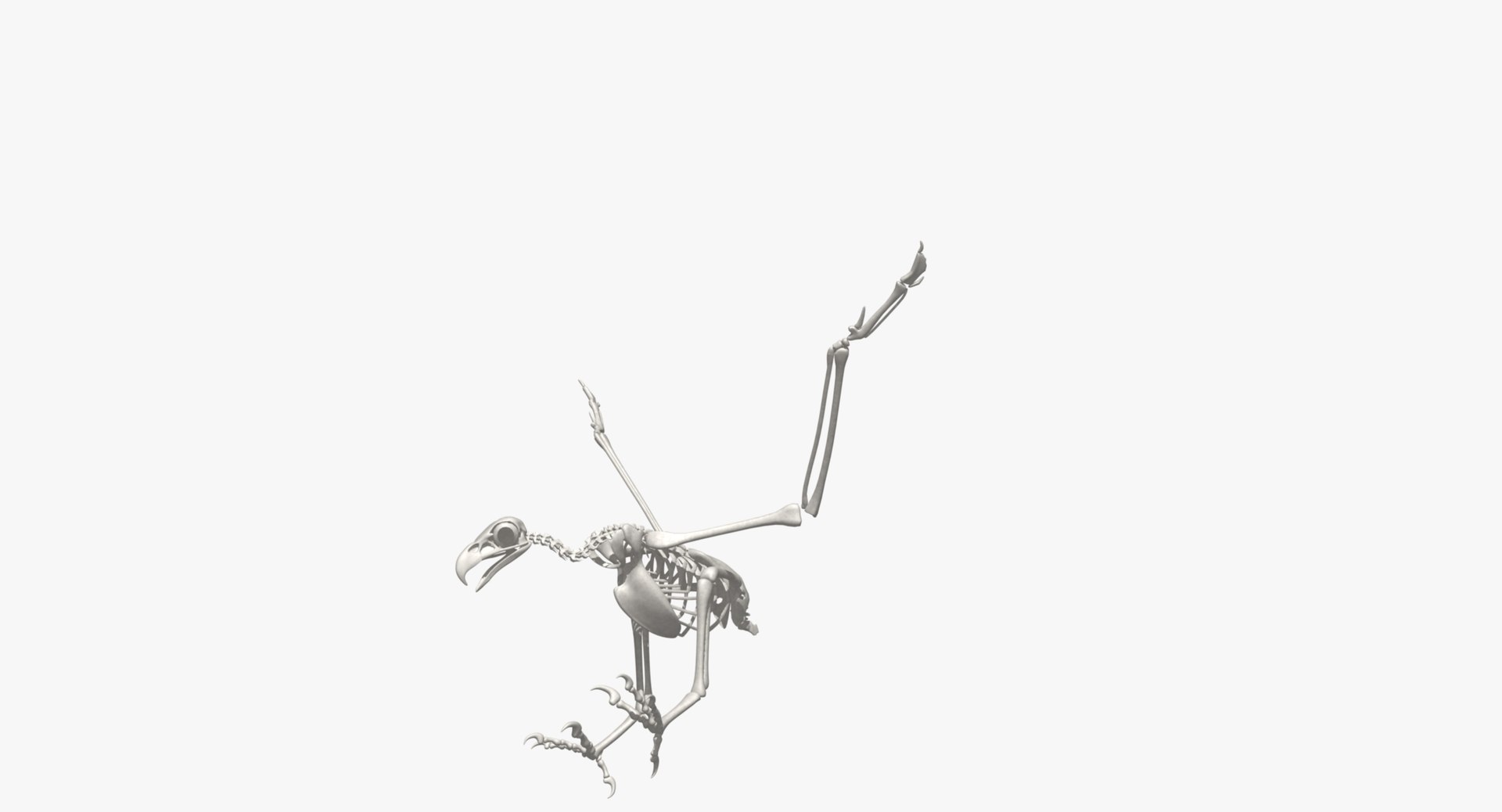3d model golden eagle https://p.turbosquid.com/ts-thumb/q0/YFWBl8/PEZ7xOih/rs00/jpg/1483422916/1920x1080/fit_q87/79122f28787eece954bfabd5938494e85a45d582/rs00.jpg