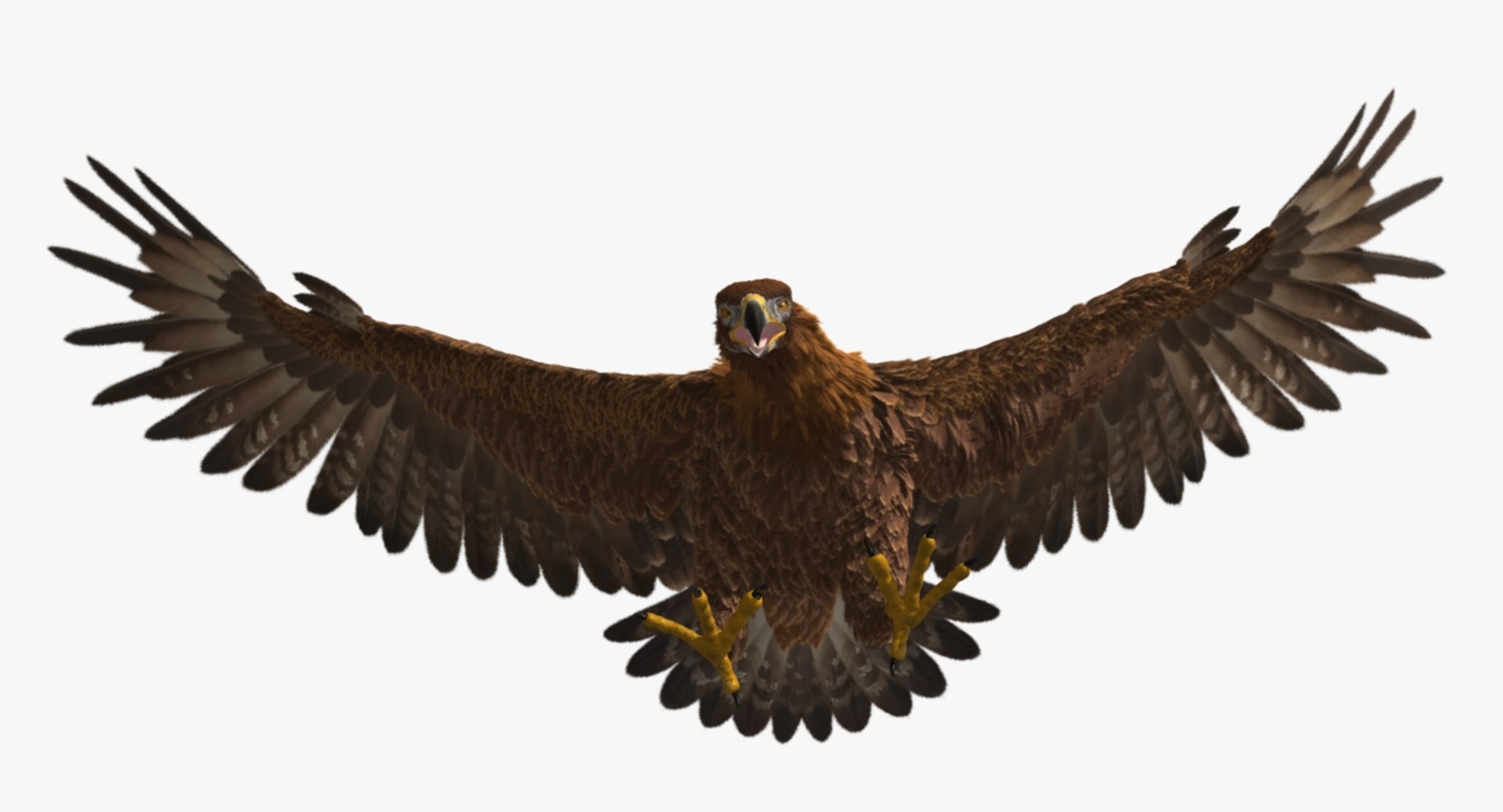 3d model golden eagle https://p.turbosquid.com/ts-thumb/q0/YFWBl8/QXty5rvS/rp09/jpg/1483415442/1920x1080/fit_q87/9af0850f5e3aaed0757978ced55c71f621824030/rp09.jpg