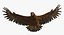 Golden Eagle