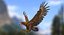 Golden Eagle
