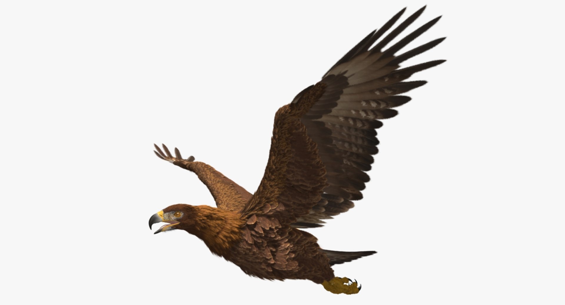 3d model golden eagle https://p.turbosquid.com/ts-thumb/q0/YFWBl8/bvhQcOwn/rp02/jpg/1483415442/1920x1080/fit_q87/84843a60fb29f438e4c87b9c86eea6766c339fea/rp02.jpg