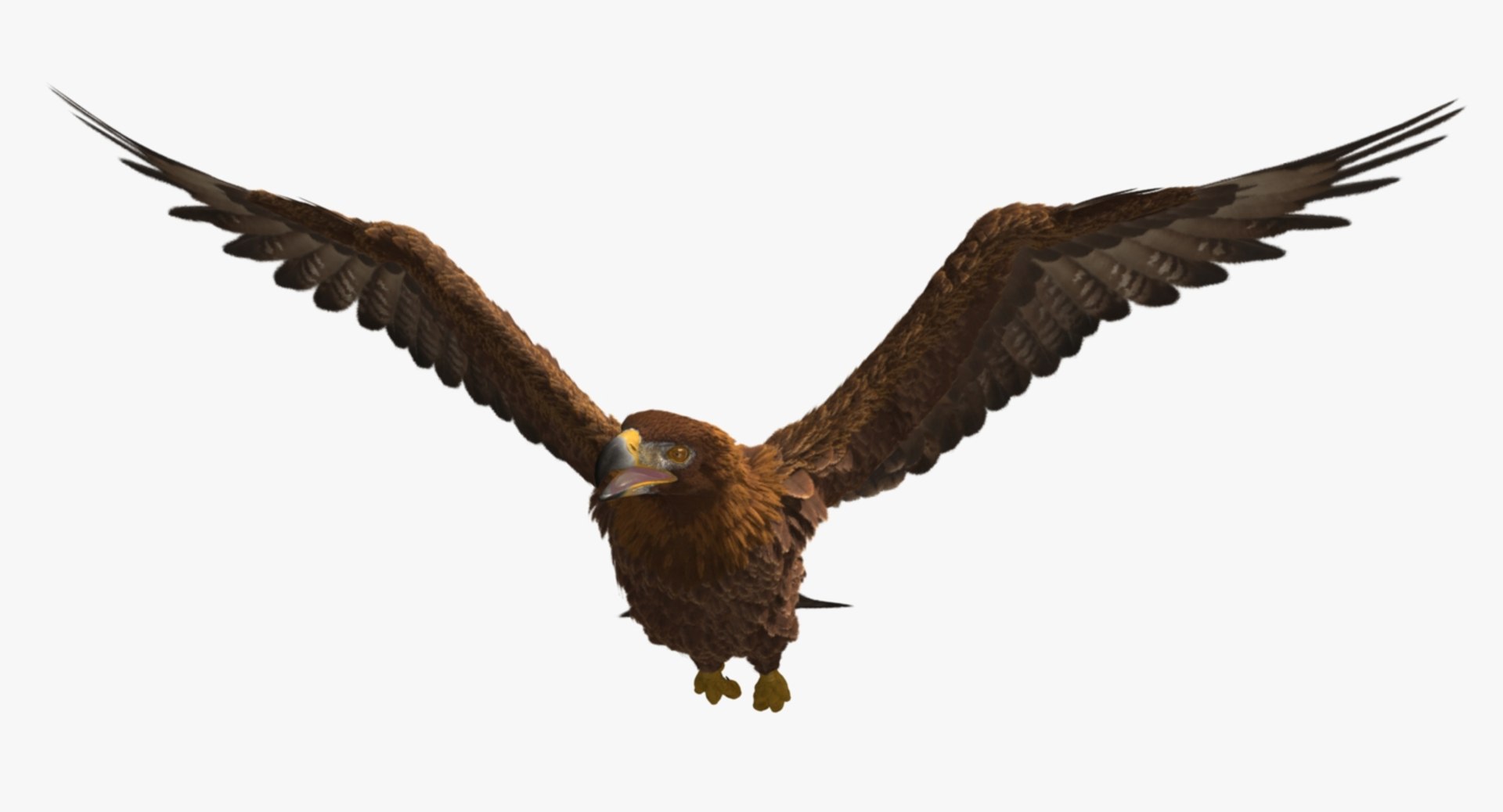 3d model golden eagle https://p.turbosquid.com/ts-thumb/q0/YFWBl8/qYvmdrdW/rp03/jpg/1483415442/1920x1080/fit_q87/93bee1baf21d08f4ddc419058ee0d60d6433de9f/rp03.jpg